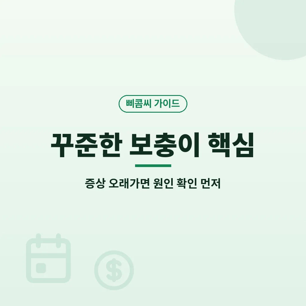 핵심요약 이미지