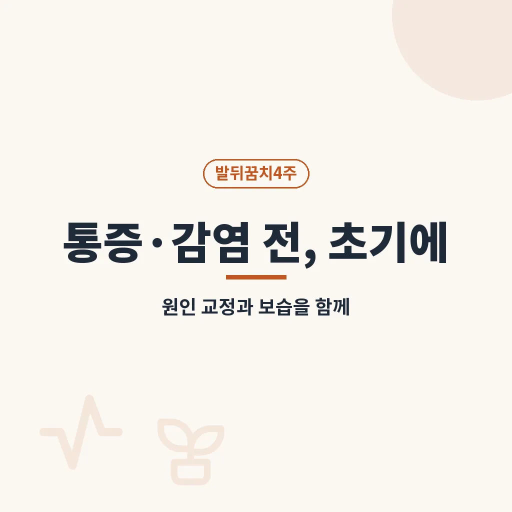 자주 묻는 질문 이미지