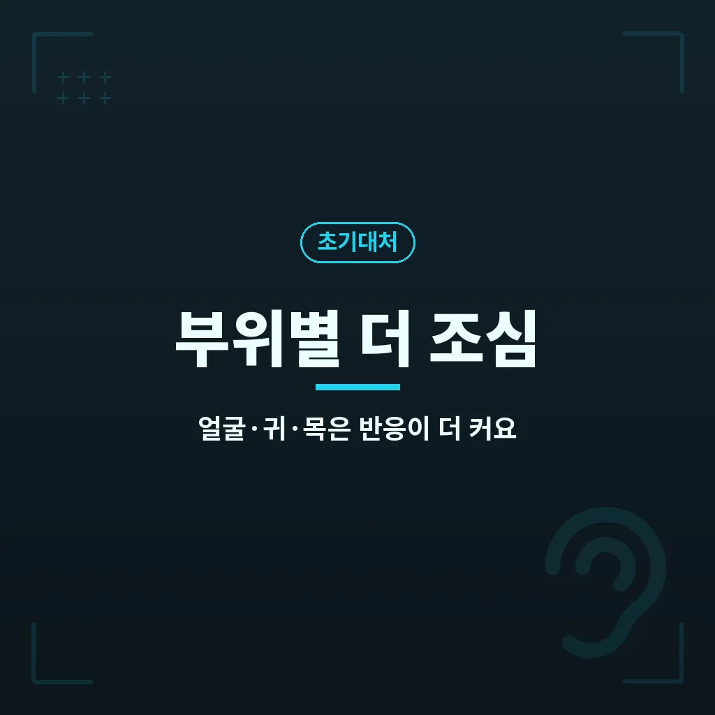 핵심요약 이미지