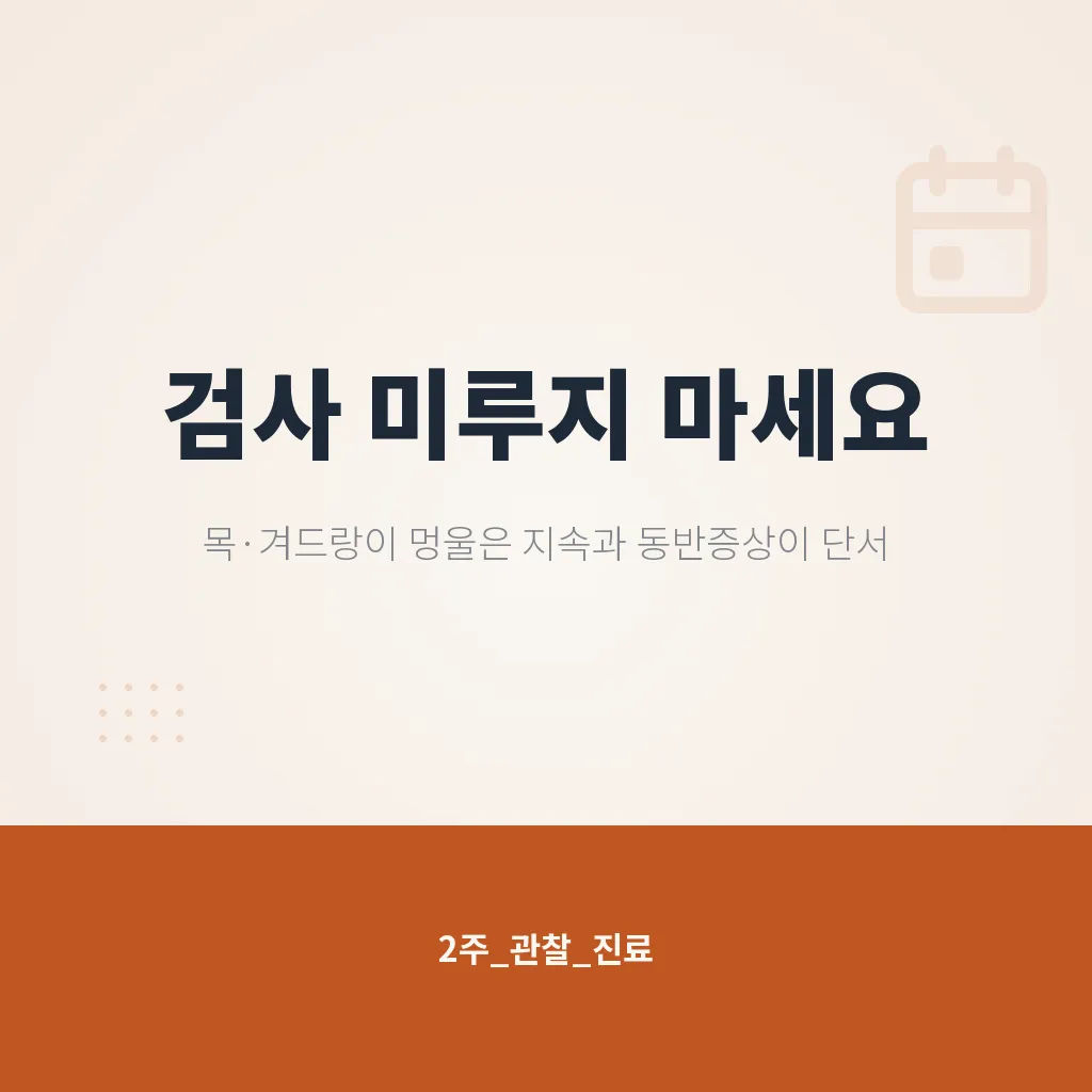 자주 묻는 질문 이미지