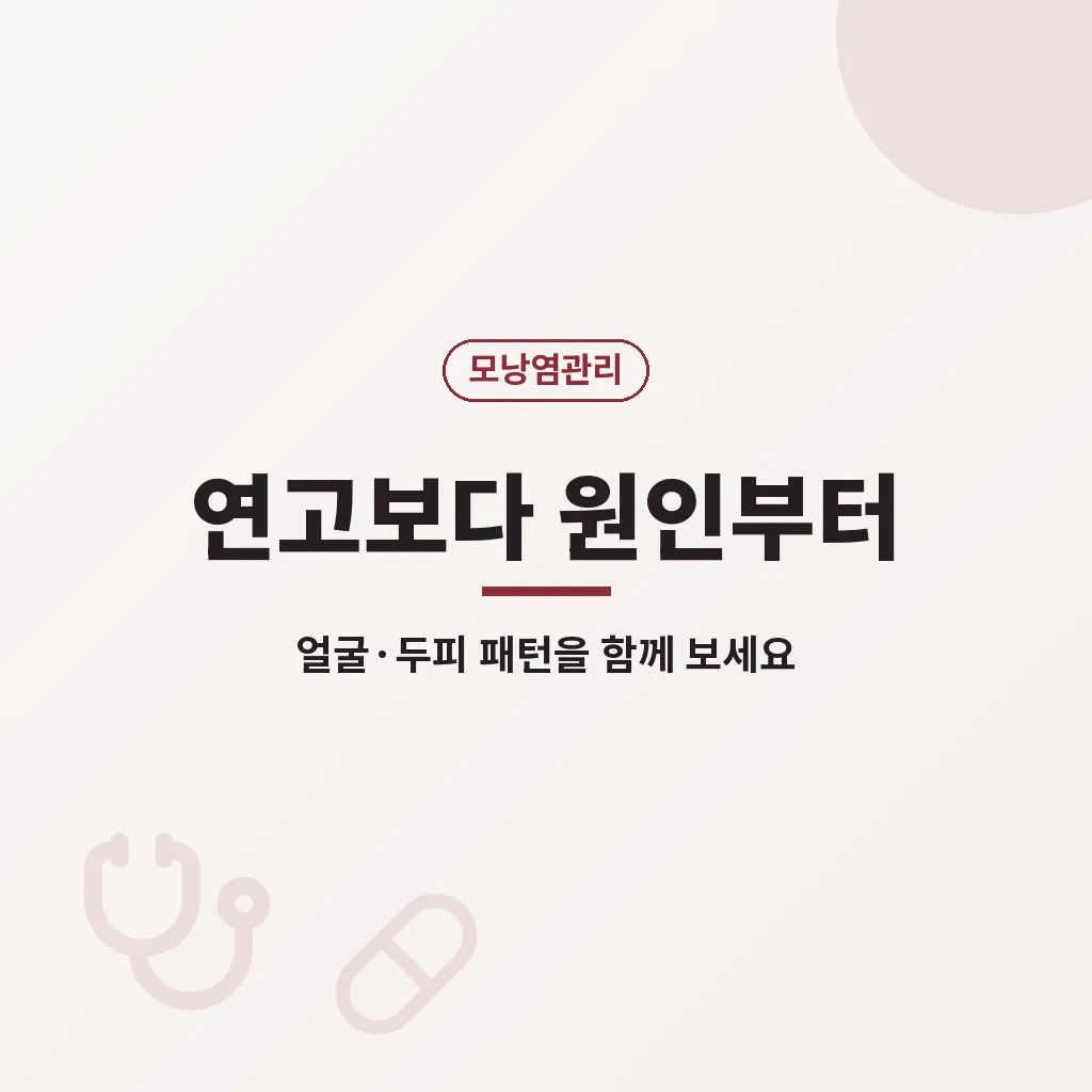 핵심요약 이미지