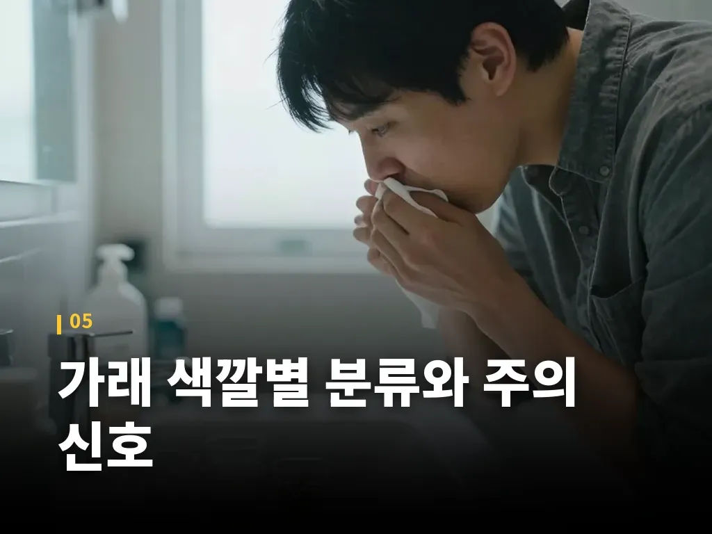 가래 색깔별 분류와 주의 신호 이미지