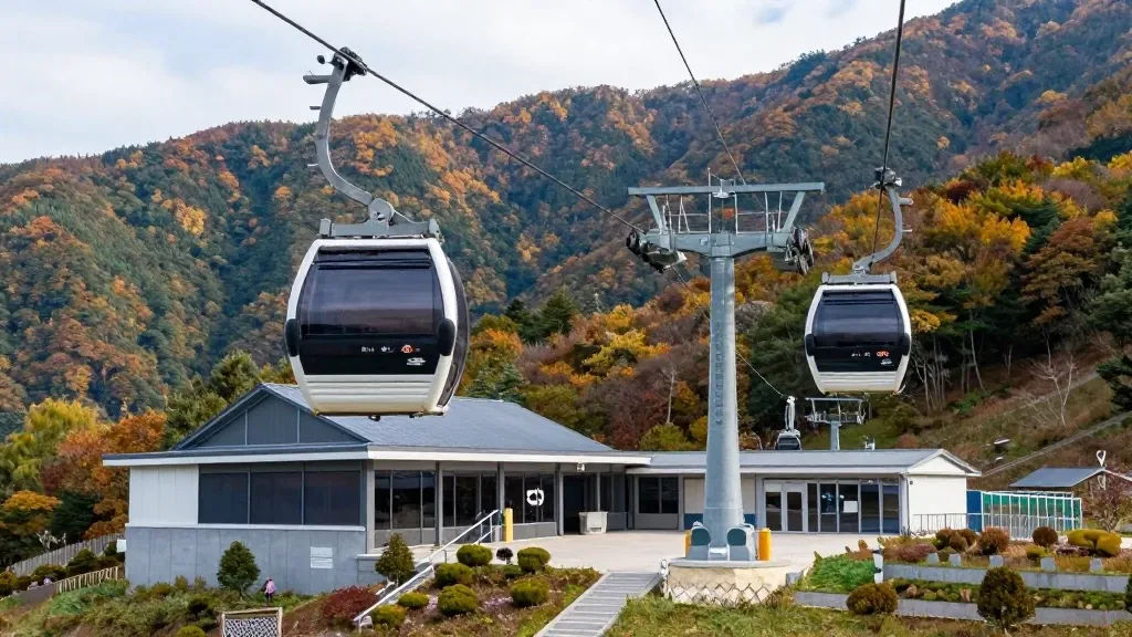 Q&A 가리왕산 케이블카 자주 묻는 질문 이미지
