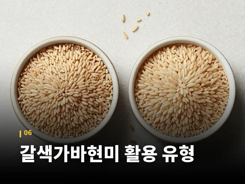 갈색가바현미 활용 유형 이미지