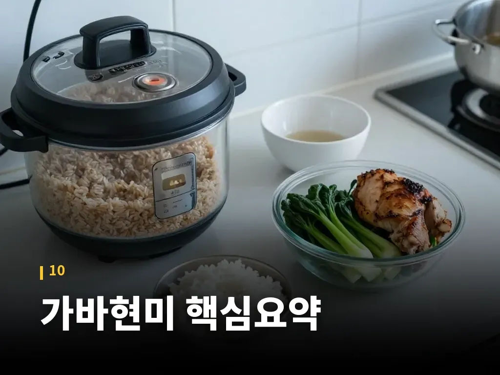 가바현미 핵심요약 이미지