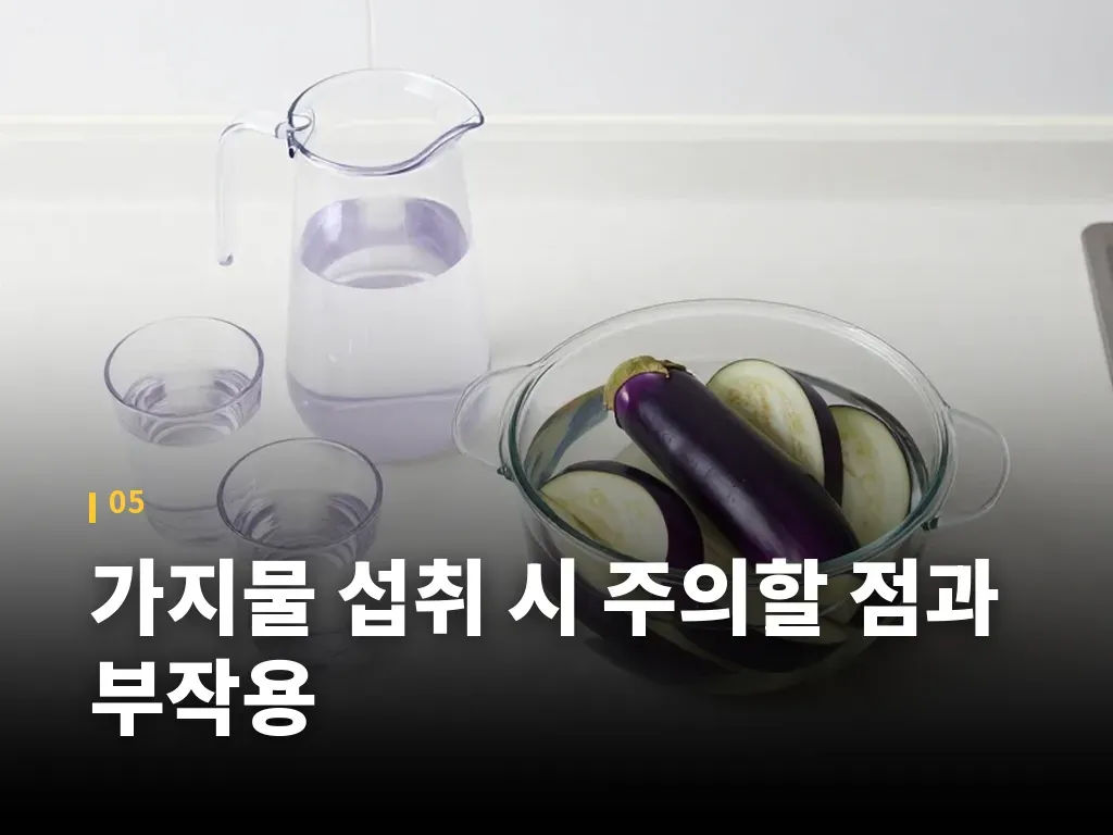 가지물 섭취 시 주의할 점과 부작용 이미지