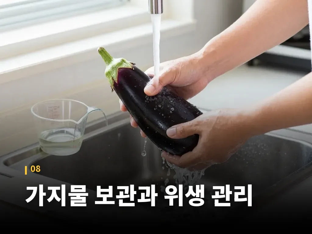 가지물 보관과 위생 관리 이미지