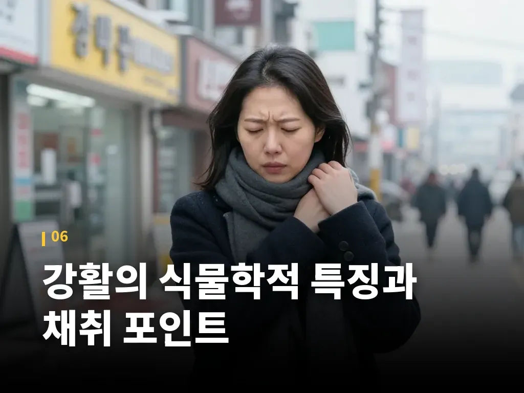 강활의 식물학적 특징과 채취 포인트 이미지