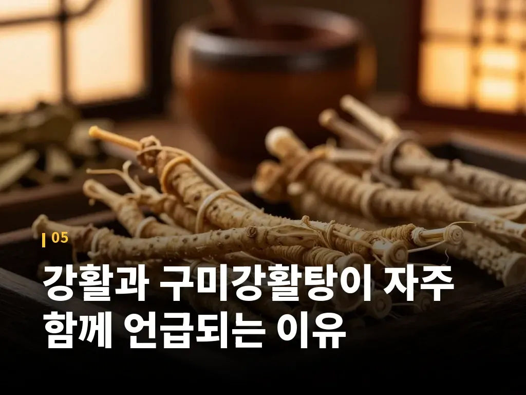 강활과 구미강활탕이 자주 함께 언급되는 이유 이미지