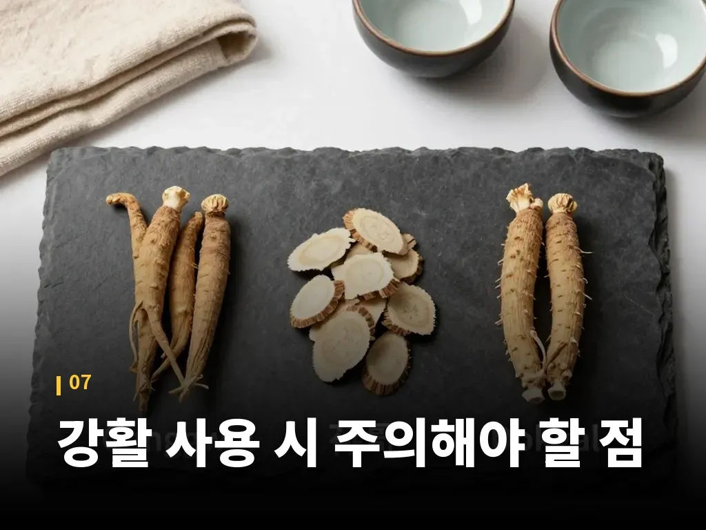 강활 사용 시 주의해야 할 점 이미지
