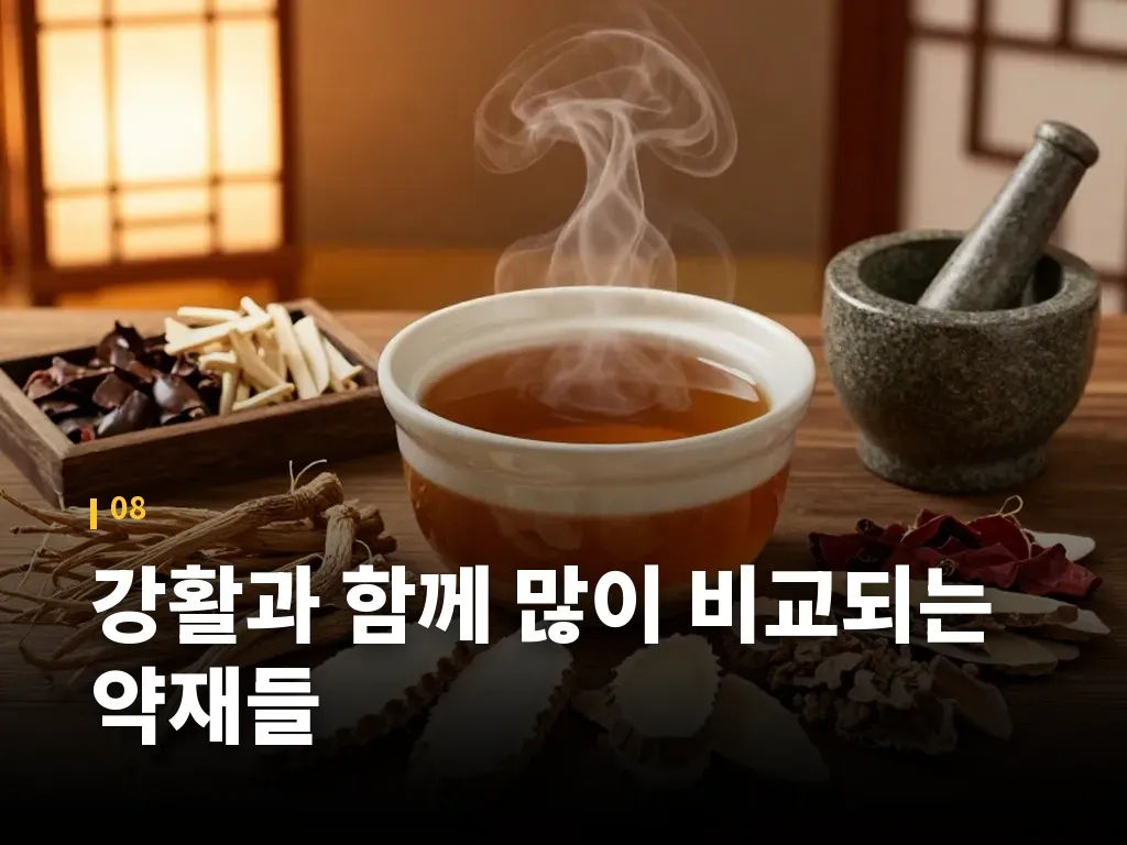 강활과 함께 많이 비교되는 약재들 이미지