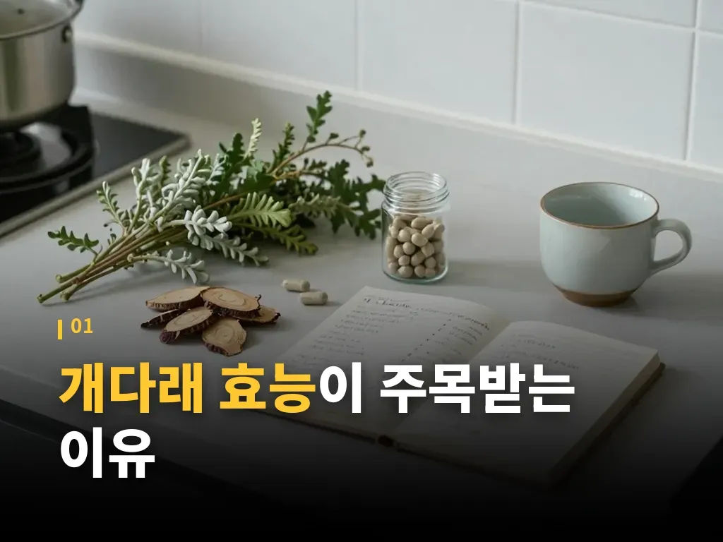 개다래 효능과 비슷한 식재료 비교 이미지