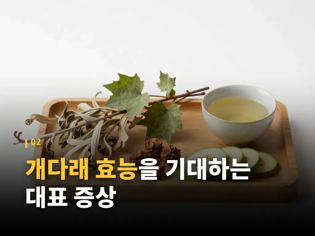 개다래 효능을 활용하는 단계별 섭취법 이미지