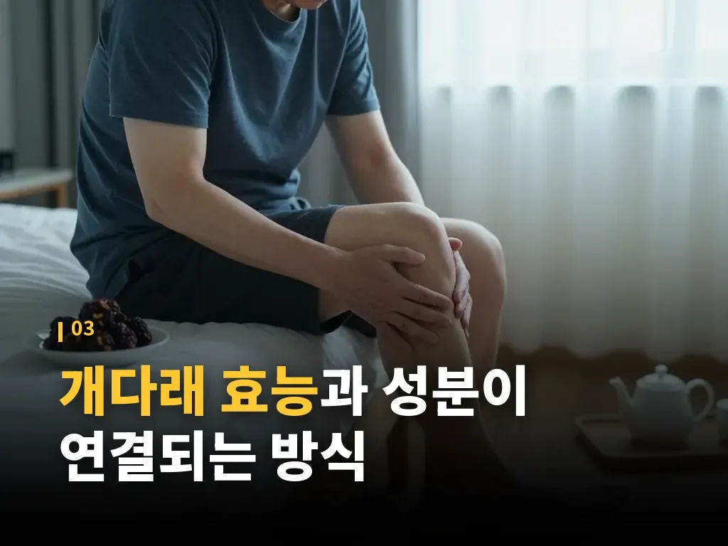 개다래 효능이 기대되는 유형별 특징 이미지