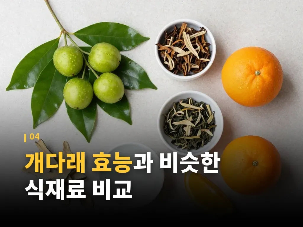 개다래 효능과 함께 봐야 할 부작용 이미지