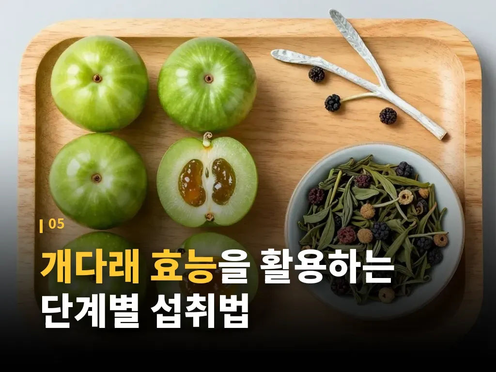 개다래 효능을 높이는 생활 습관 이미지