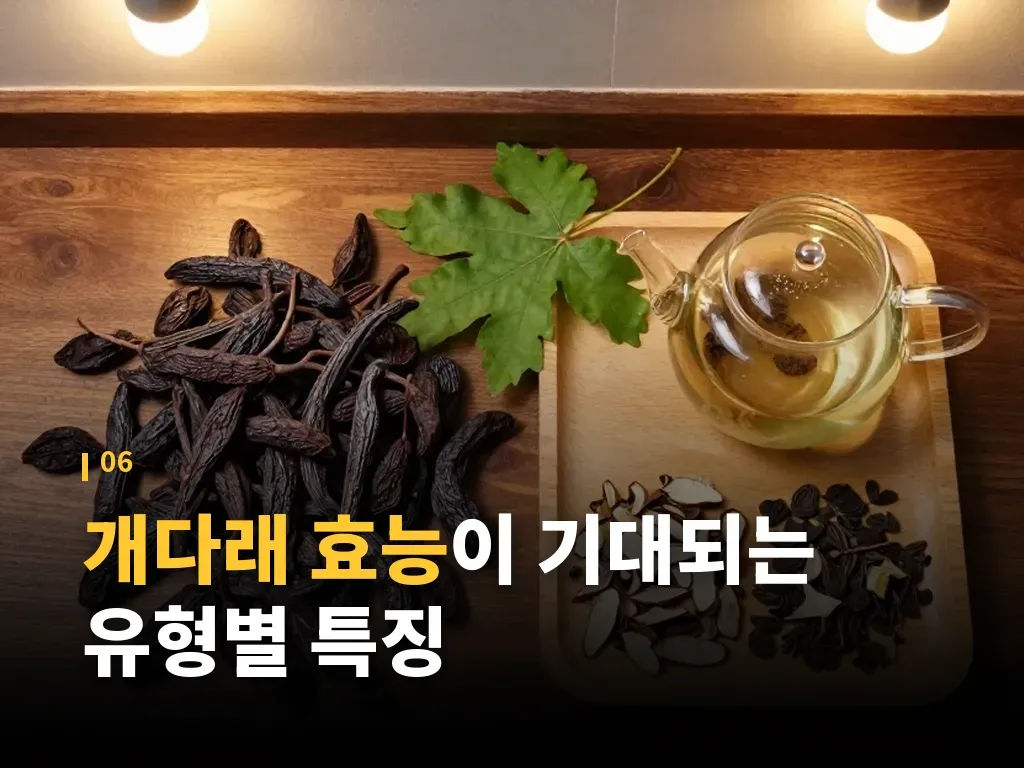 개다래 효능을 고를 때 체크할 포인트 이미지