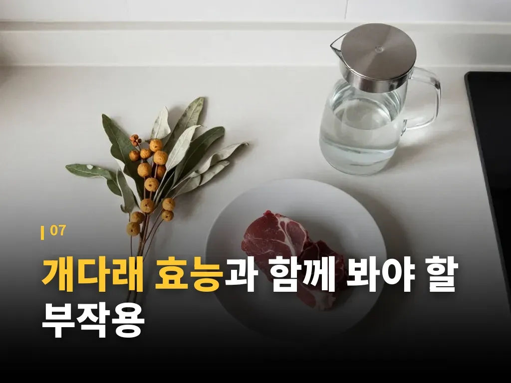 개다래 효능 관련 최신 활용 시나리오 이미지