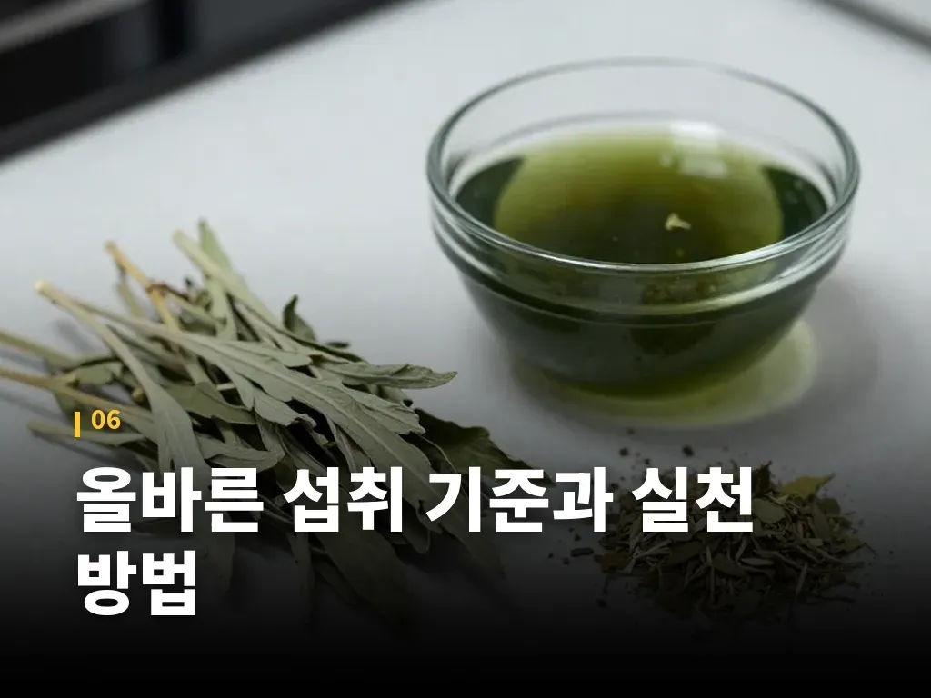 올바른 섭취 기준과 실천 방법 이미지