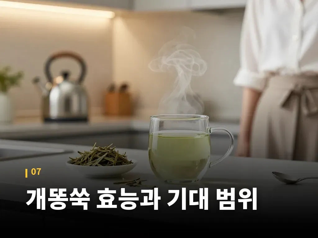 개똥쑥 효능과 기대 범위 이미지
