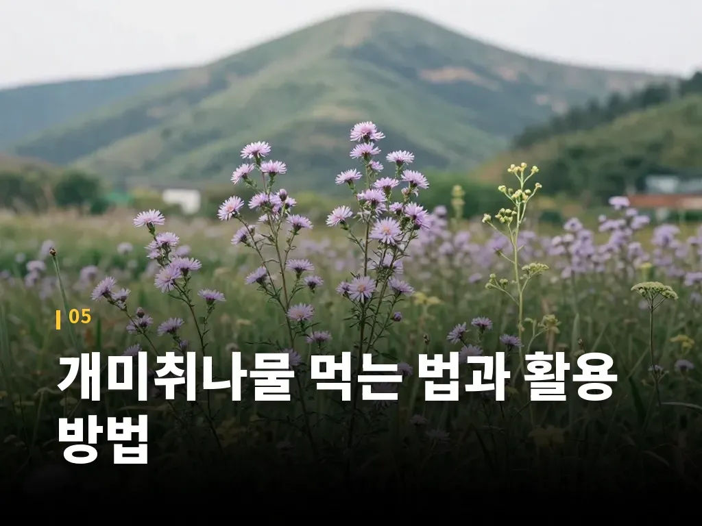 개미취나물 먹는 법과 활용 방법 이미지