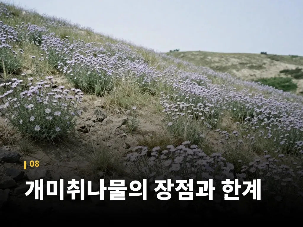 개미취나물의 장점과 한계 이미지