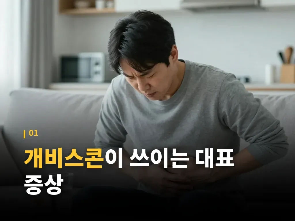 개비스콘 종류와 선택 기준 이미지