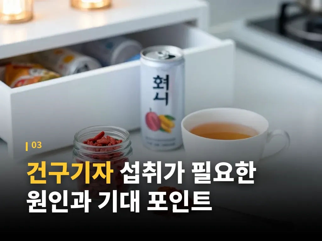 건구기자 유형별 분류와 고르는 법 이미지