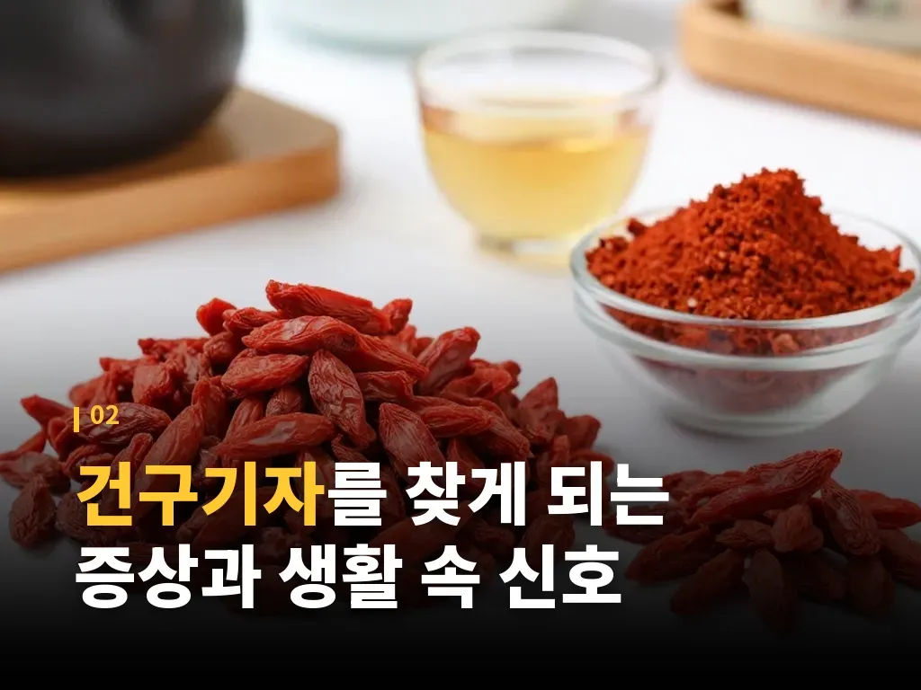 건구기자 먹는법과 단계별 활용 이미지