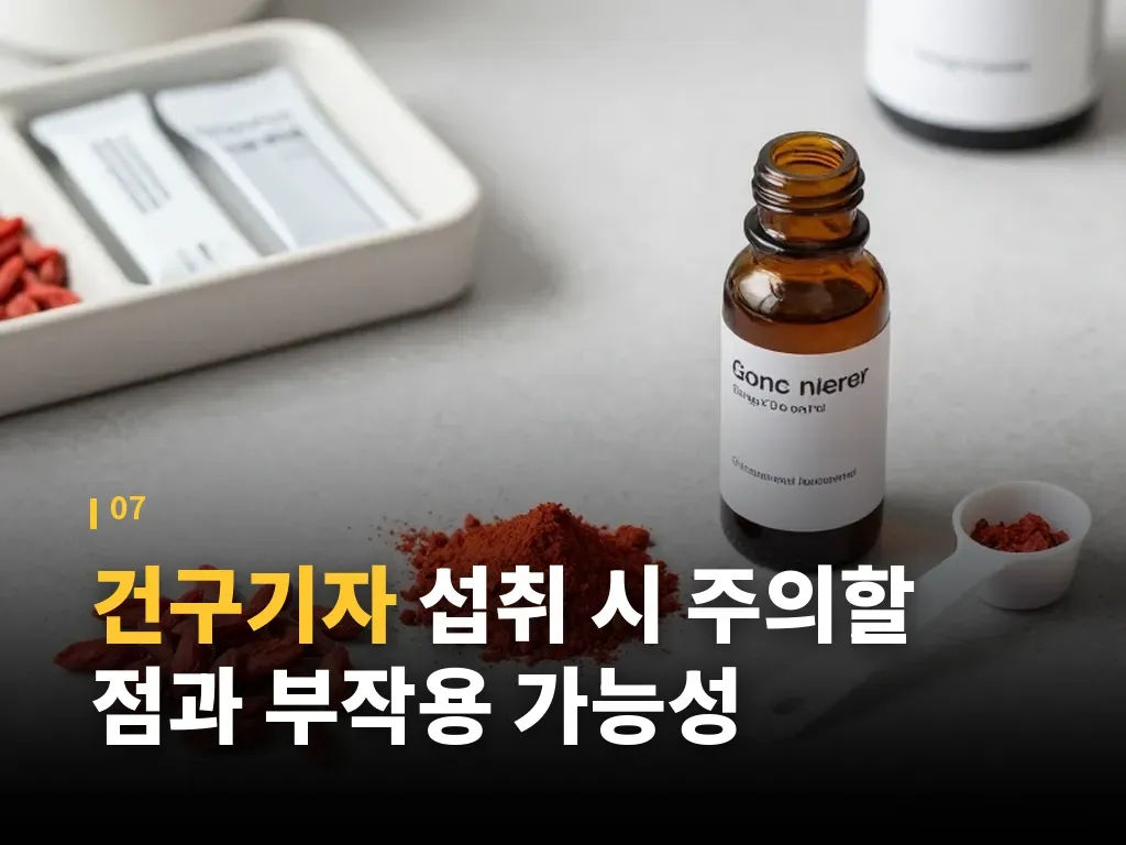건구기자 활용이 맞는 사람과 아닌 사람 이미지