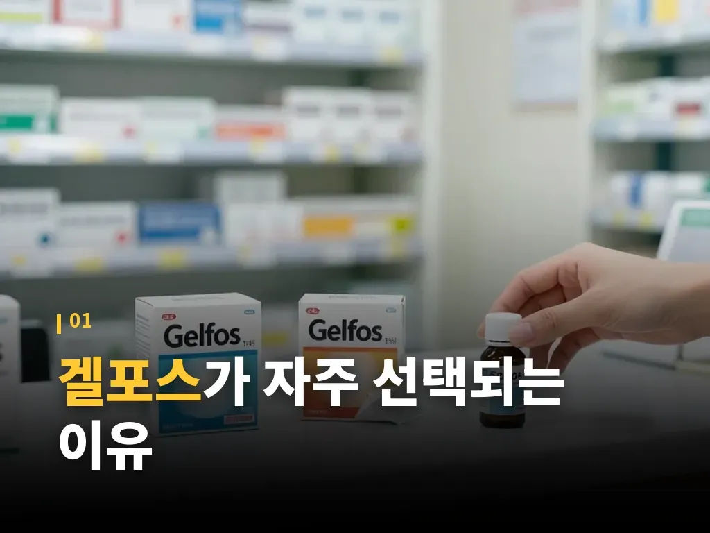 겔포스 복용 타이밍과 단계별 선택 이미지