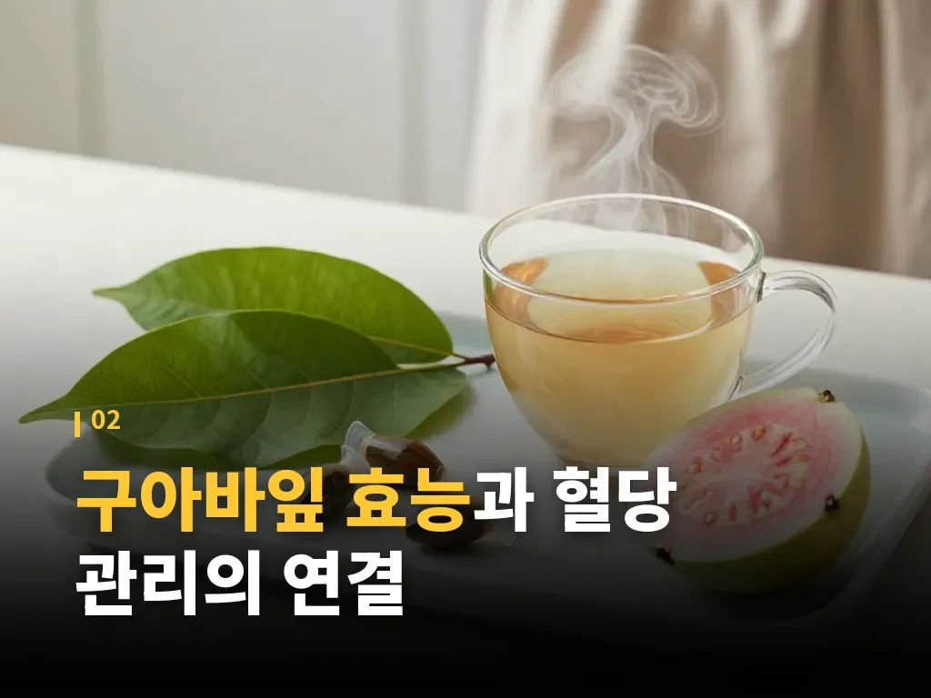 구아바잎차 마시는 법과 섭취 타이밍 이미지
