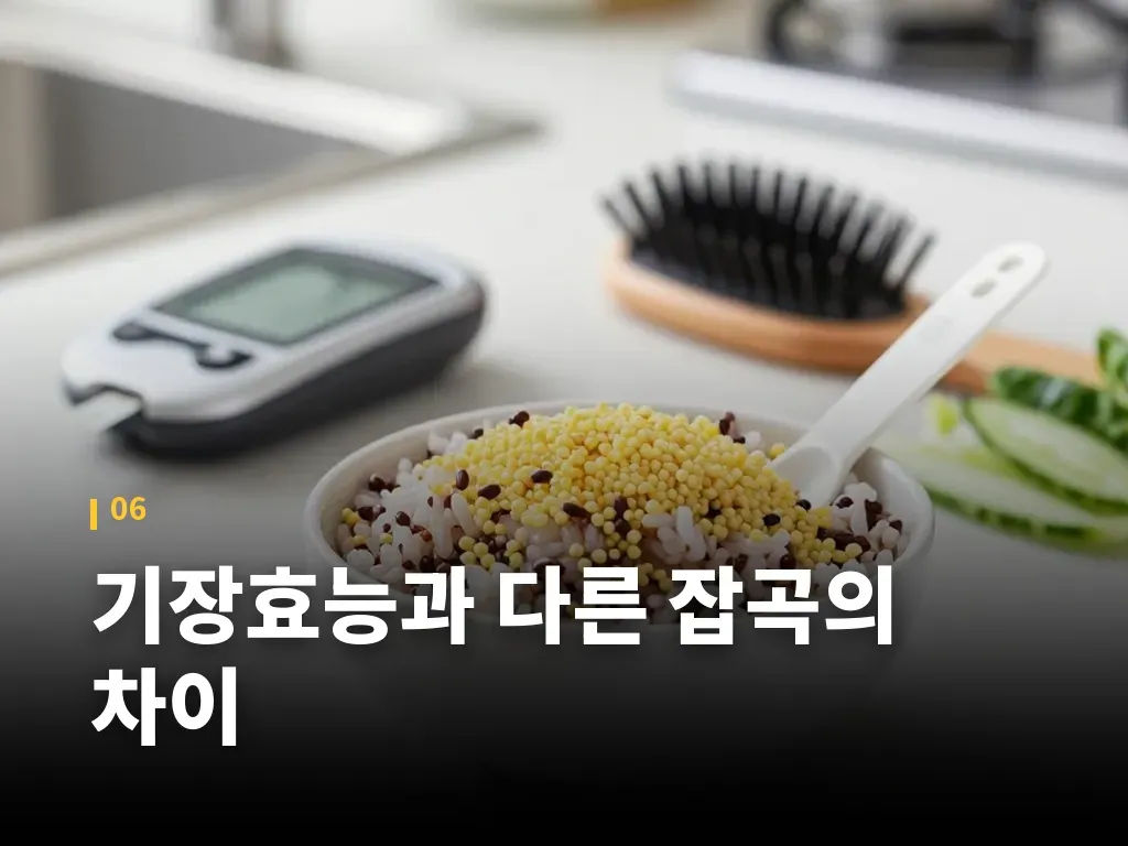 기장효능과 다른 잡곡의 차이 이미지