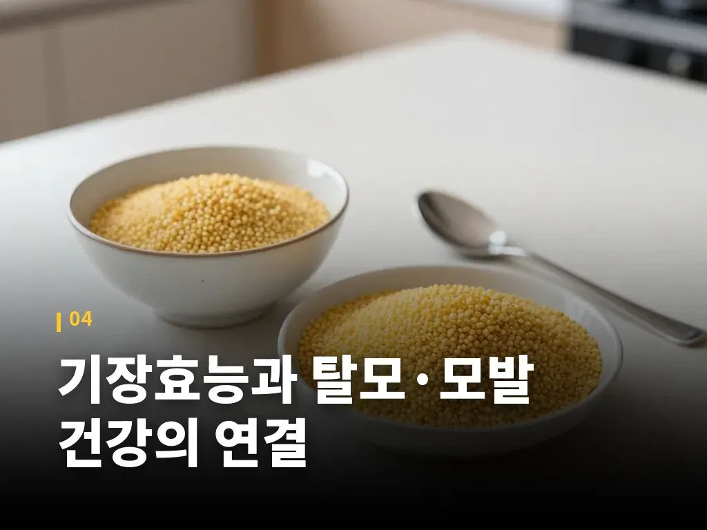 기장효능과 탈모·모발 건강의 연결 이미지