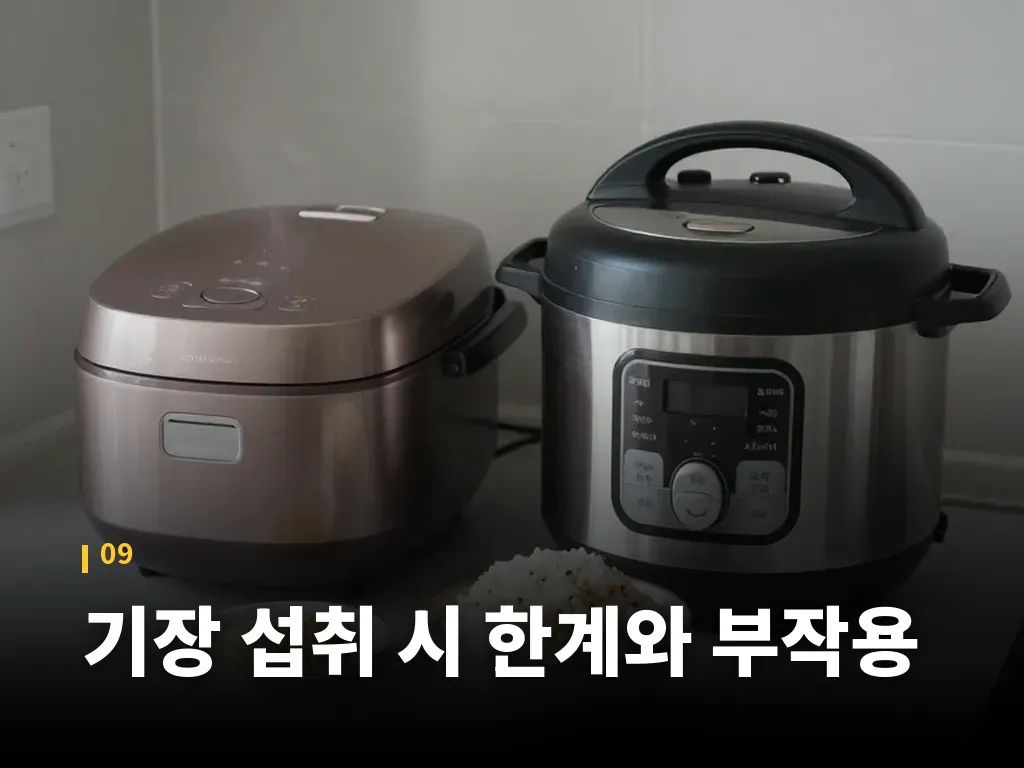 기장 섭취 시 한계와 부작용 이미지