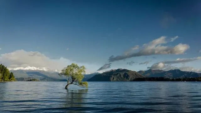 핵심 요약 이미지