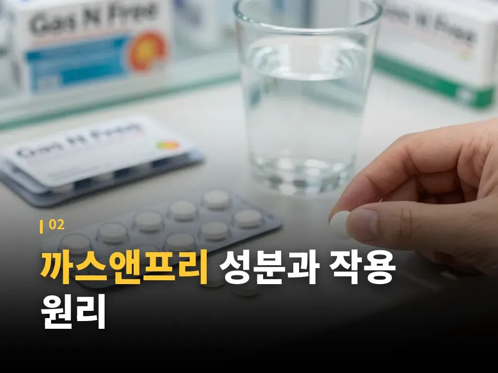 까스앤프리와 비슷한 가스제거제 비교 이미지
