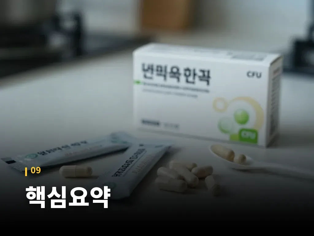 핵심요약 이미지
