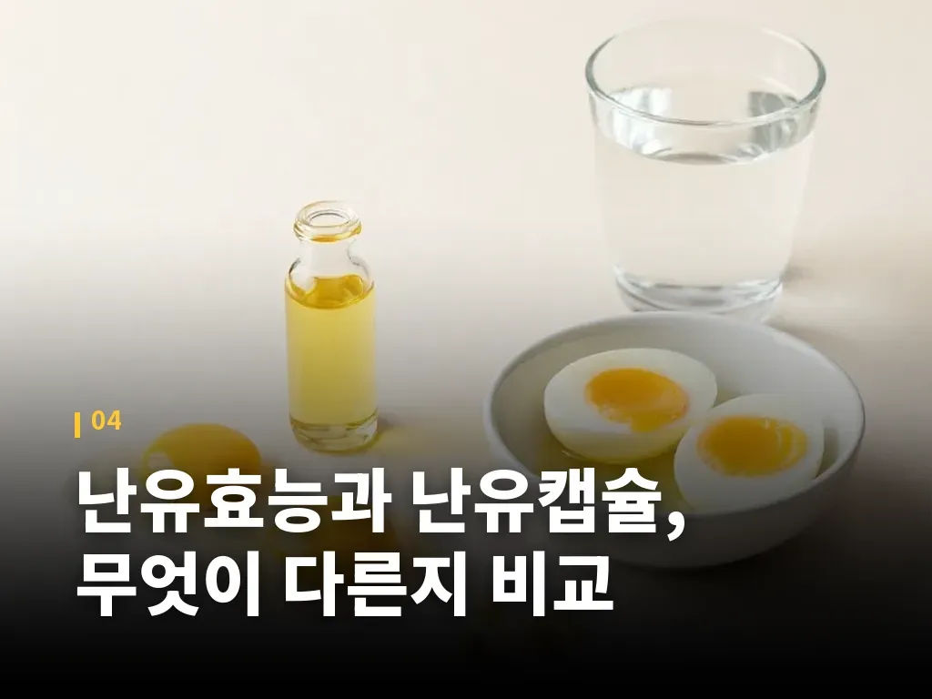 난유효능과 난유캡슐, 무엇이 다른지 비교 이미지