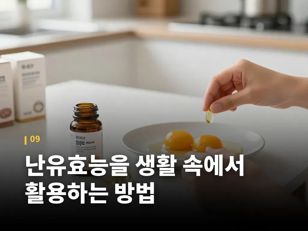 난유효능을 생활 속에서 활용하는 방법 이미지