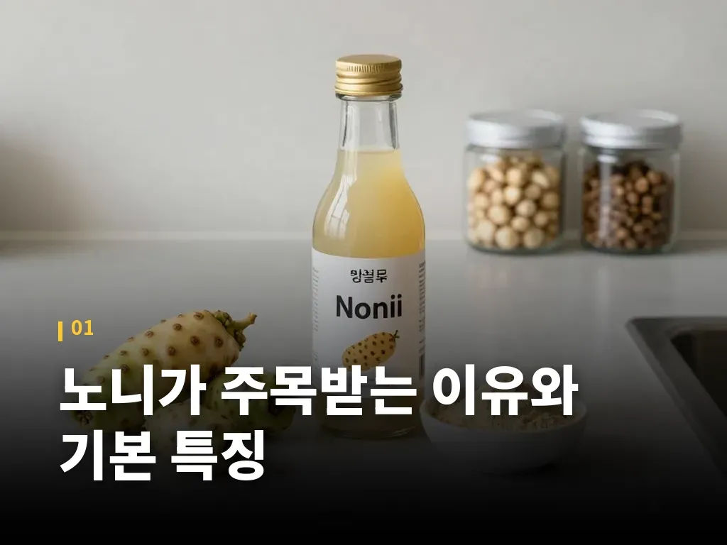 노니 복용법과 하루 섭취 흐름 이미지