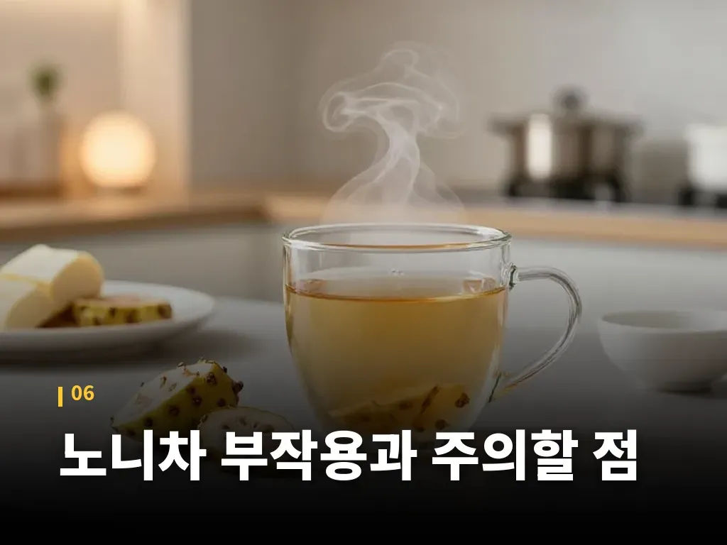 노니차 부작용과 주의할 점 이미지