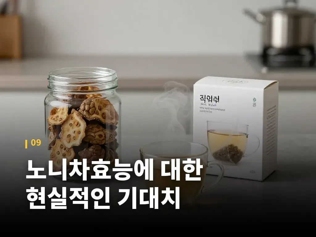 노니차효능에 대한 현실적인 기대치 이미지