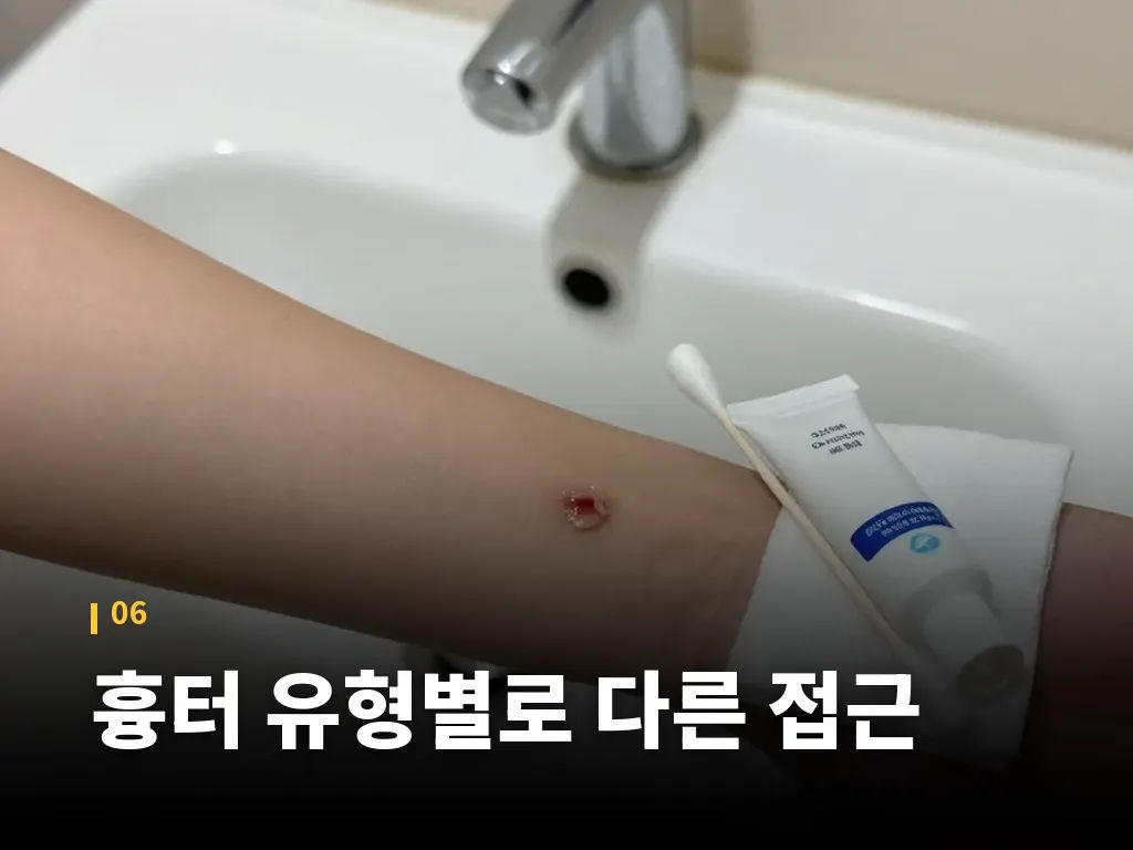 실제로 많이 비교하는 대안 이미지