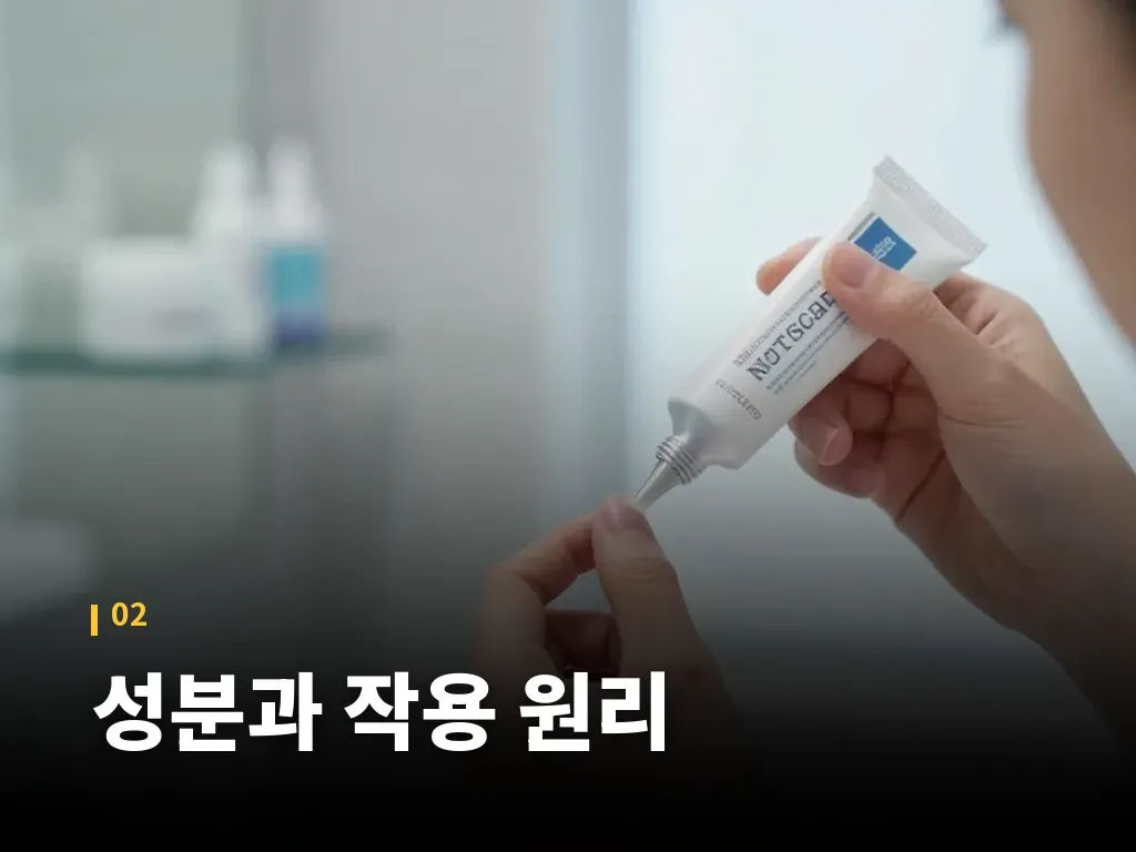 사용 전 꼭 구분해야 할 흉터 유형 이미지