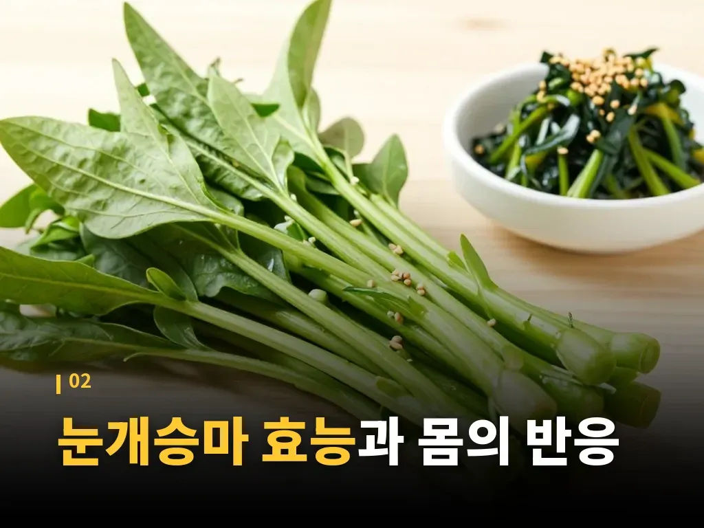 눈개승마모종 재배 시 알아둘 점 이미지