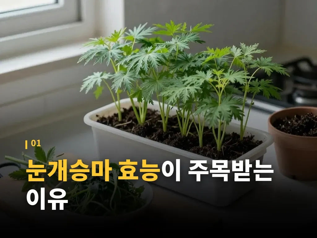 눈개승마 먹는법 단계별 정리 이미지