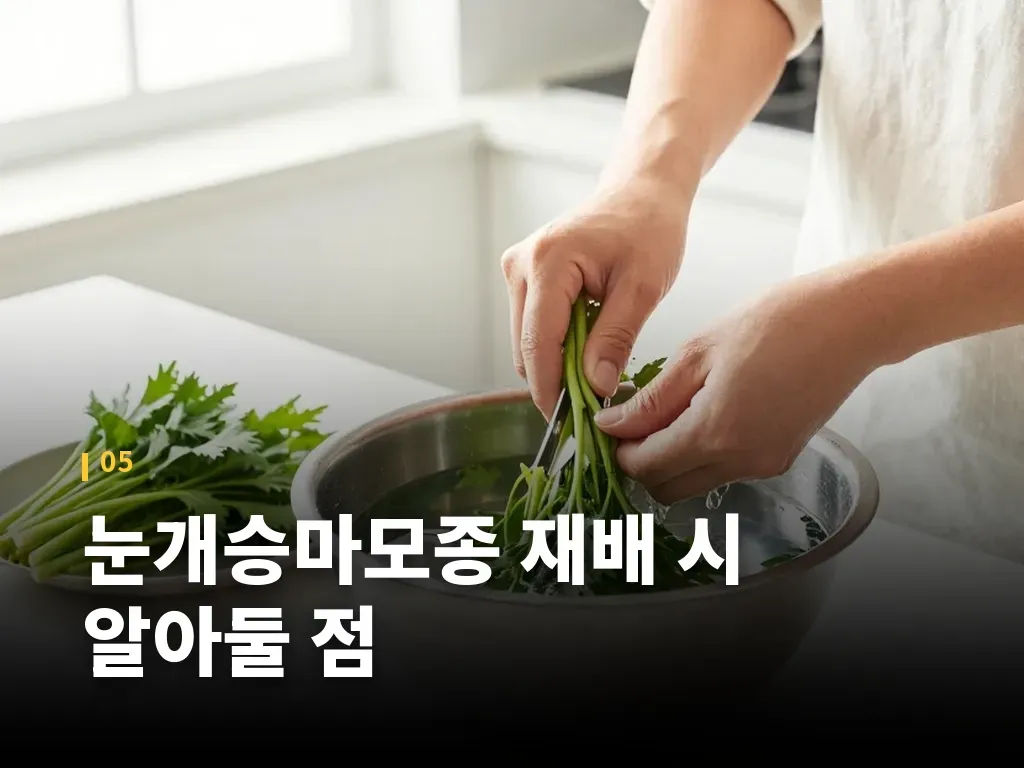 섭취 시 주의해야 할 점 이미지
