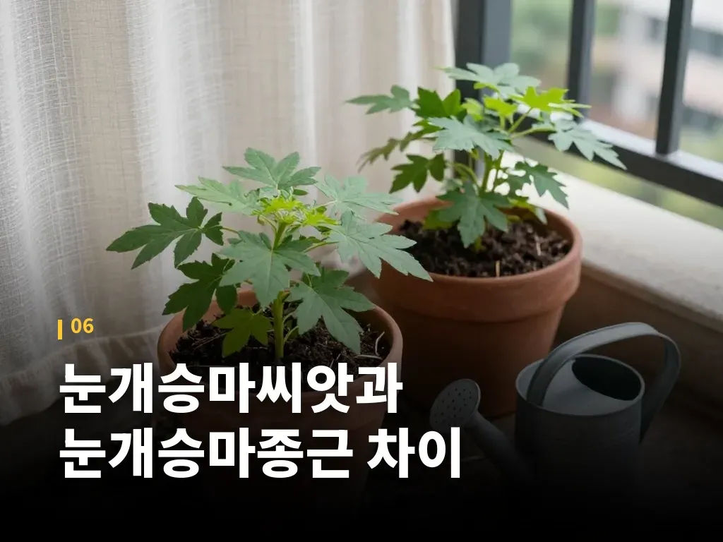 보관과 손질에서 실패를 줄이는 법 이미지