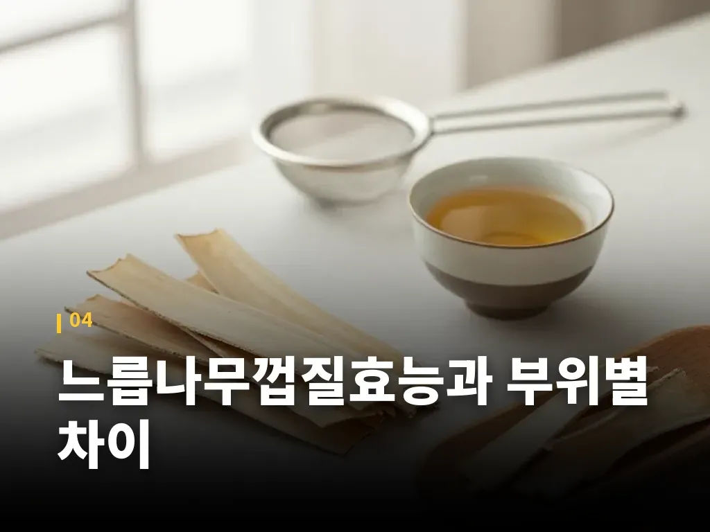 느릅나무껍질효능과 부위별 차이 이미지